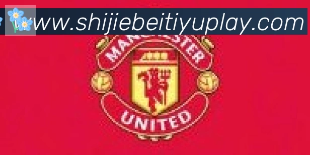 美加墨世界杯赛事官方网站合作伙伴